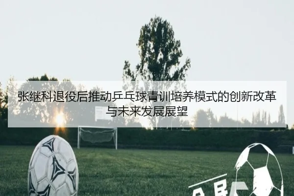 张继科退役后推动乒乓球青训培养模式的创新改革与未来发展展望
